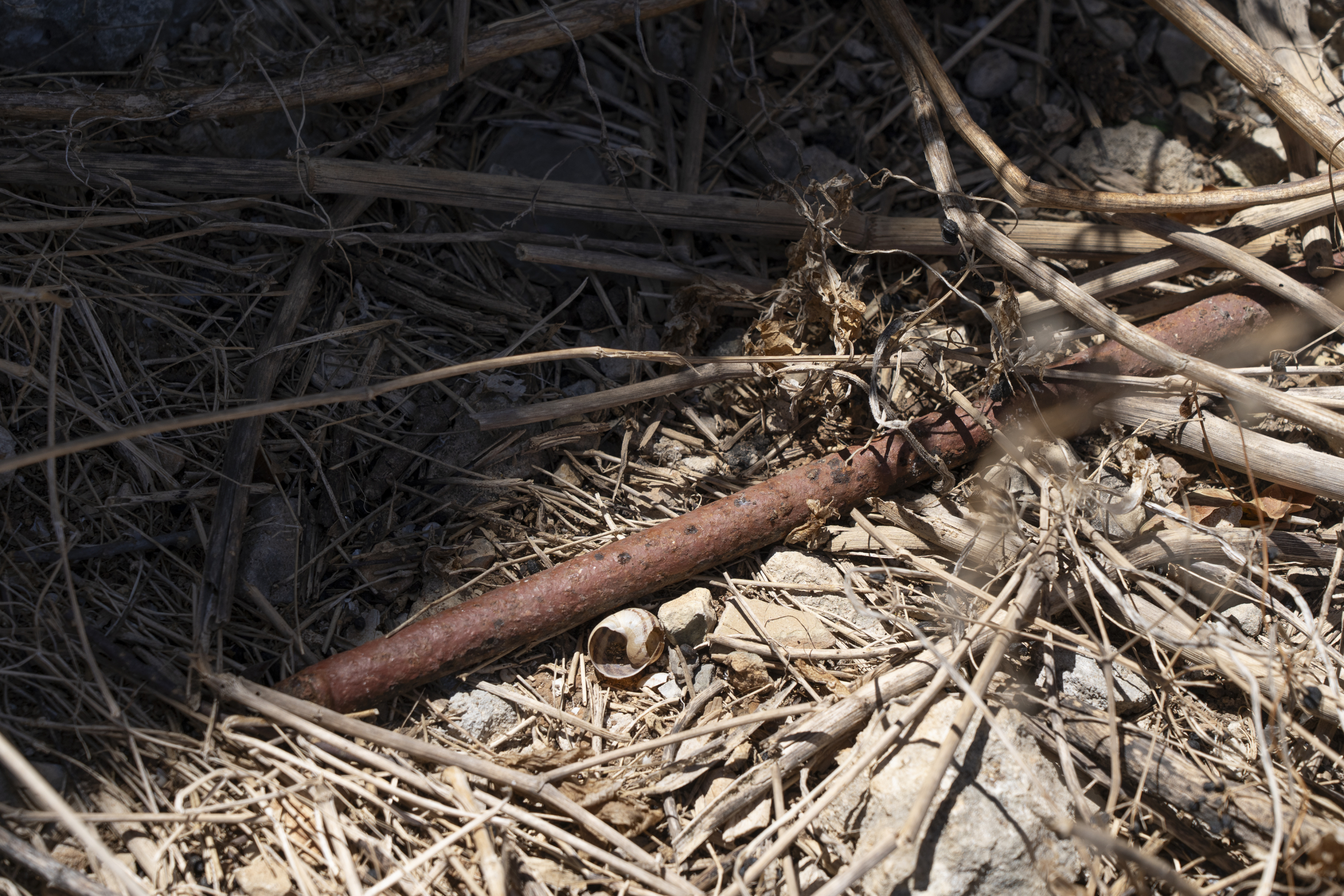Elsewhere, a metal bar which was cut off from the gate lies among dry branches and trash left behind (Photo: James Bianchi/MaltaToday)